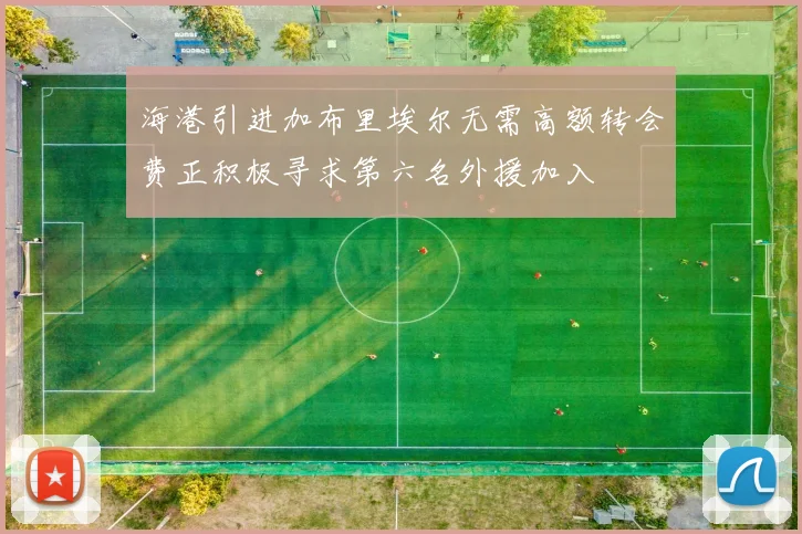 海港引进加布里埃尔无需高额转会费正积极寻求第六名外援加入