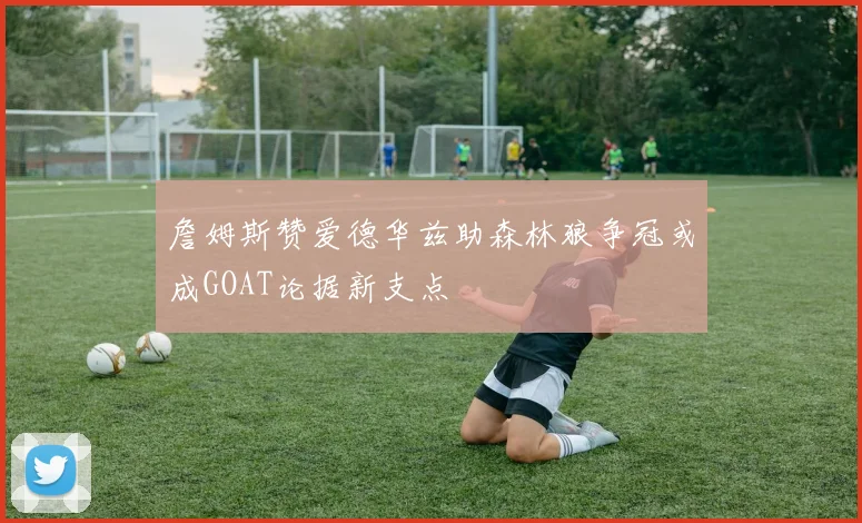 詹姆斯赞爱德华兹助森林狼争冠或成GOAT论据新支点