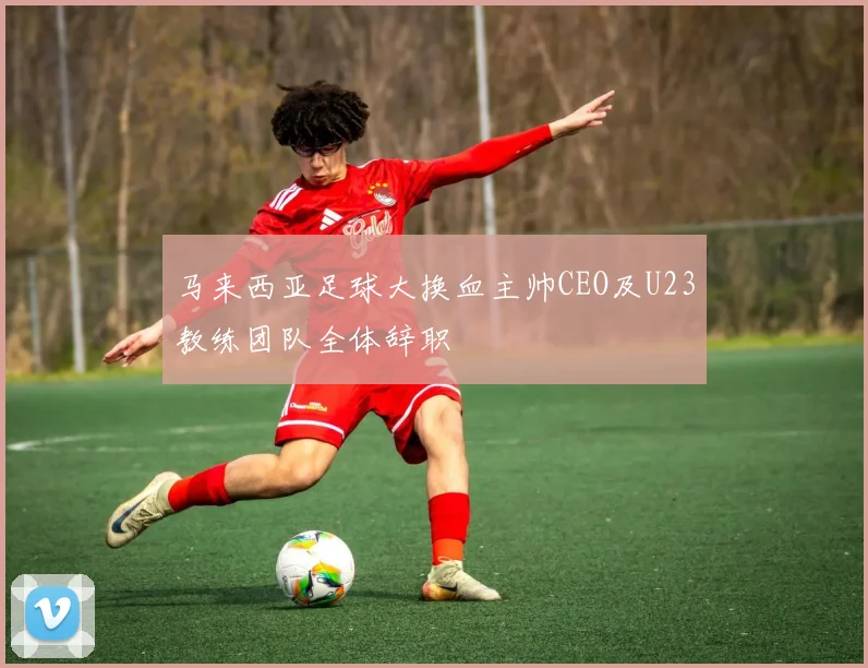 马来西亚足球大换血主帅CEO及U23教练团队全体辞职