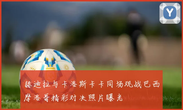 赫迪拉与卡洛斯卡卡同场观战巴西摩洛哥精彩对决照片曝光