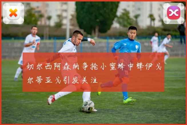 切尔西阿森纳争抢小蜜蜂中锋伊戈尔蒂亚戈引发关注